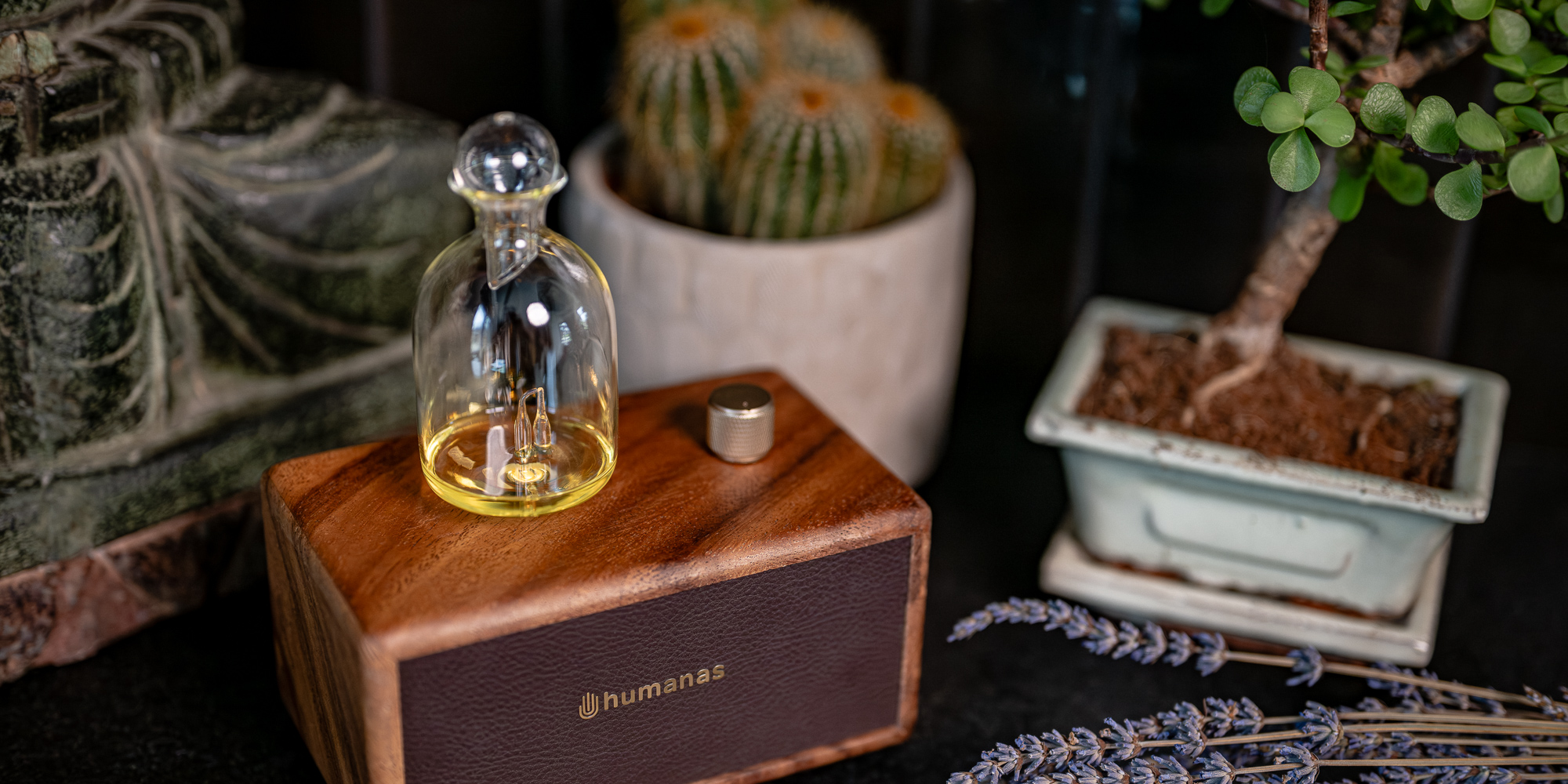 width=100% Dyfuzor olejków, aromatyzer zapachowy Humanas Natural Wood - drewno orzecha włoskiego